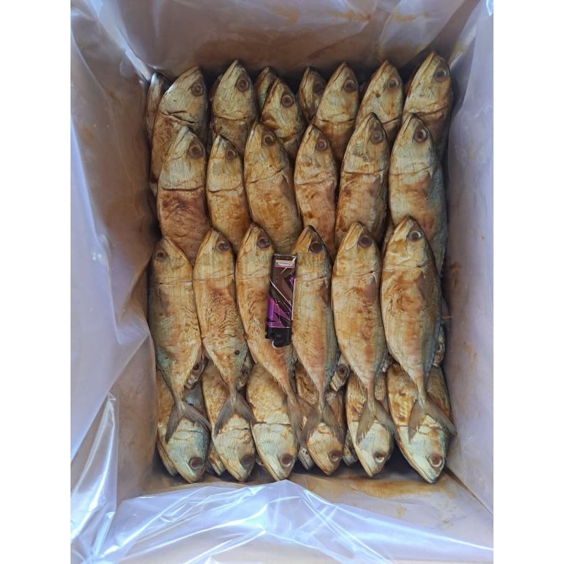 

Ikan Kembung Super A1