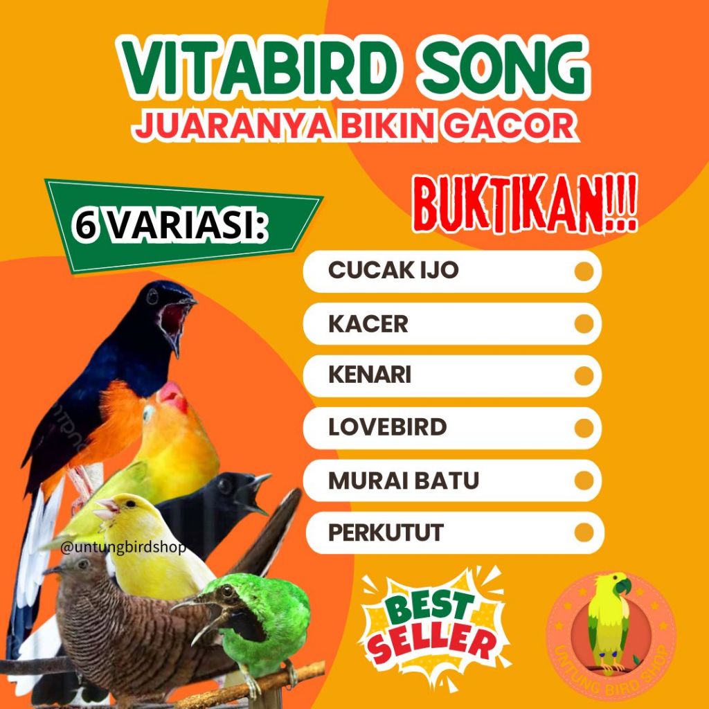 TERMURAH Obat Gacor Burung Murai Batu, Vitamin Burung Murai Batu Supaya Gacor, Vitabird Song
