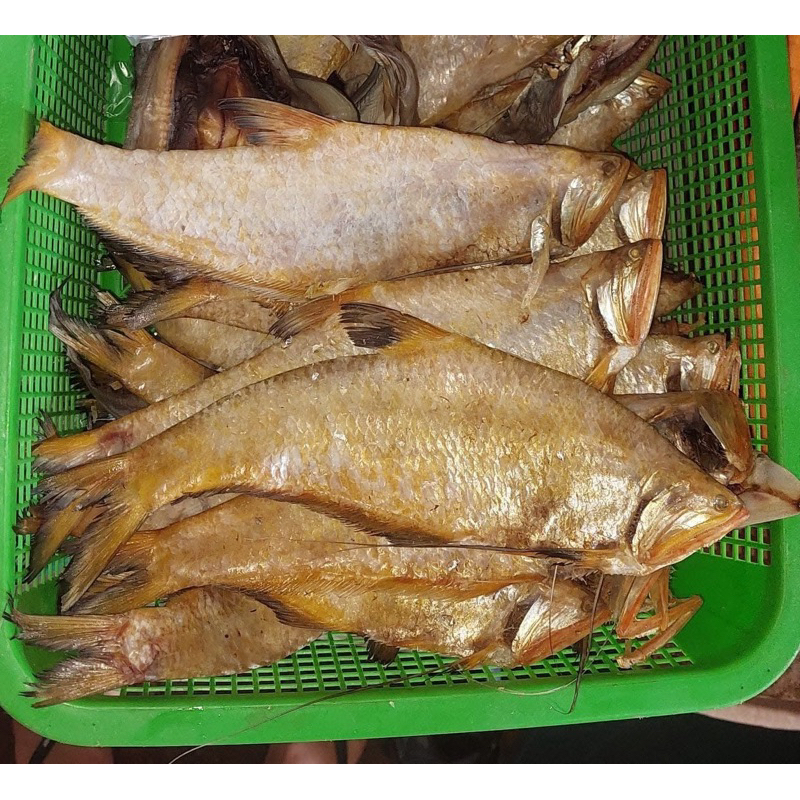 

Ikan Asin Biang Ikan Miang Bengkalis