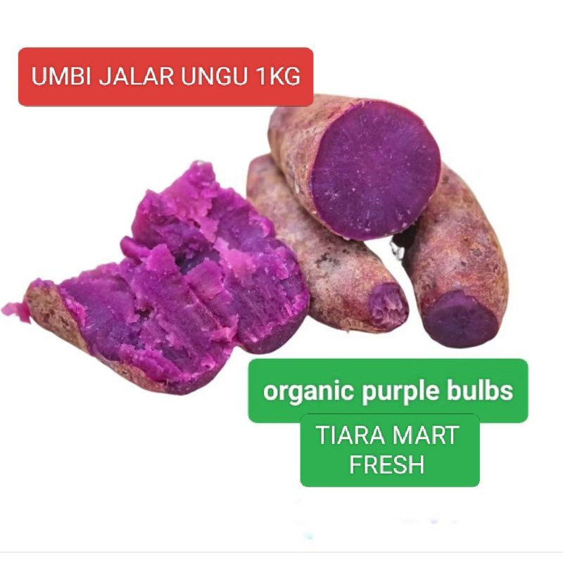 

UMBI JALAR UNGU 1KG ORGANIK/ BEBAS GULA DARAH ALAMI MANISNYA