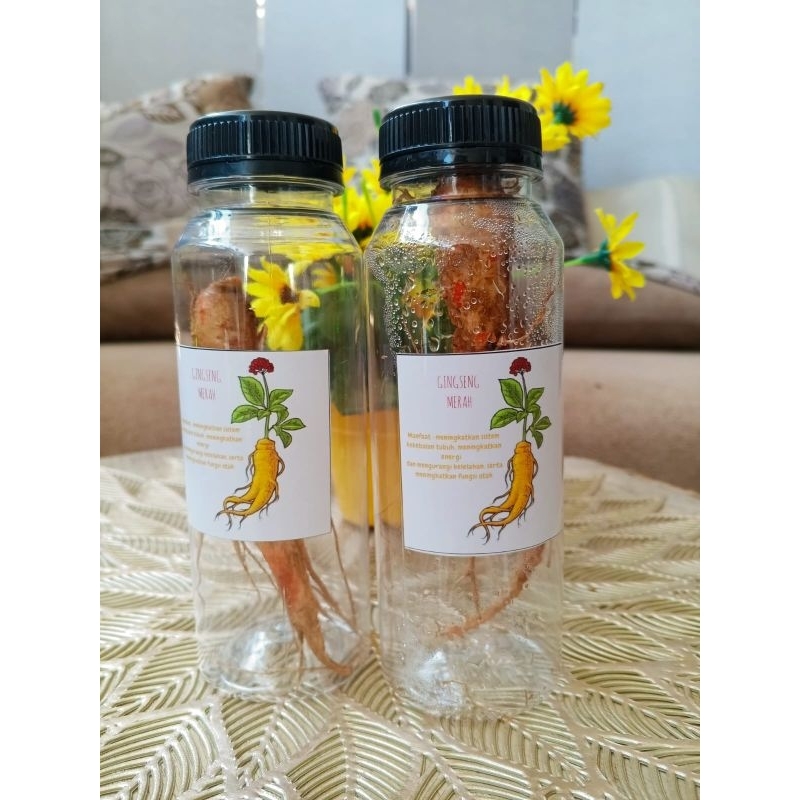 

GINSENG MERAH BOTOL ORIGINAL GARANSI