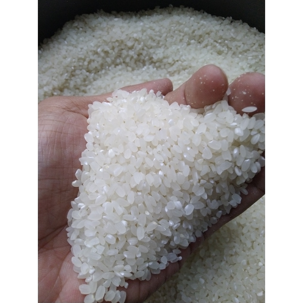 

Mustofa Farm® Beras Jepang Japonica – Beras Sushi Premium Kualitas Terbaik