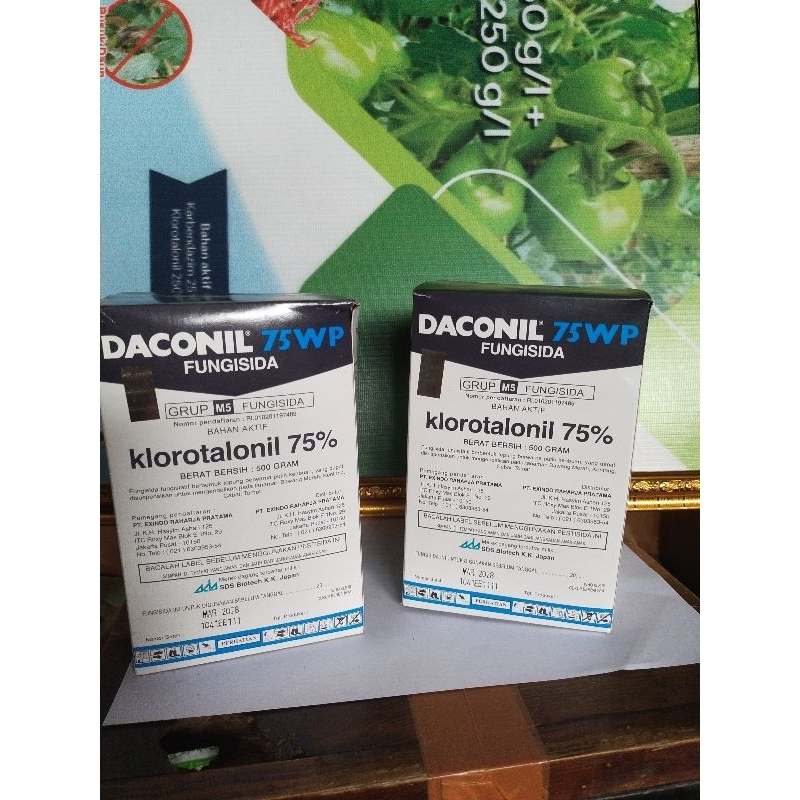 Daconil klorotalonil 75%