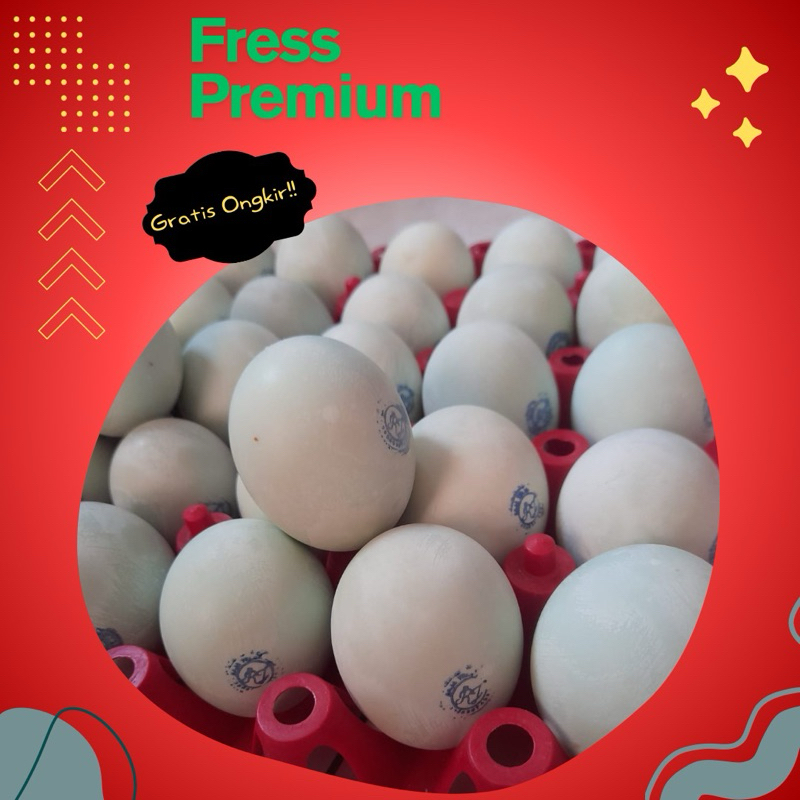 

Telur Bebek mentah Tawar Fresh kuning oranye