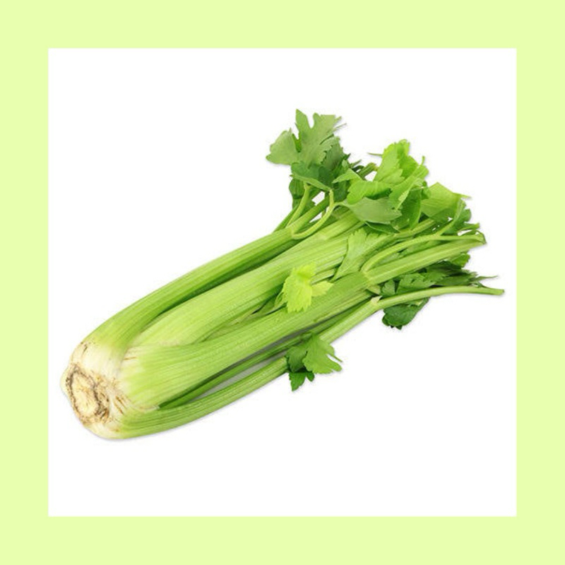 

Seledri stick import / celery / sayuran seledri stick / seledri stick impor termurah