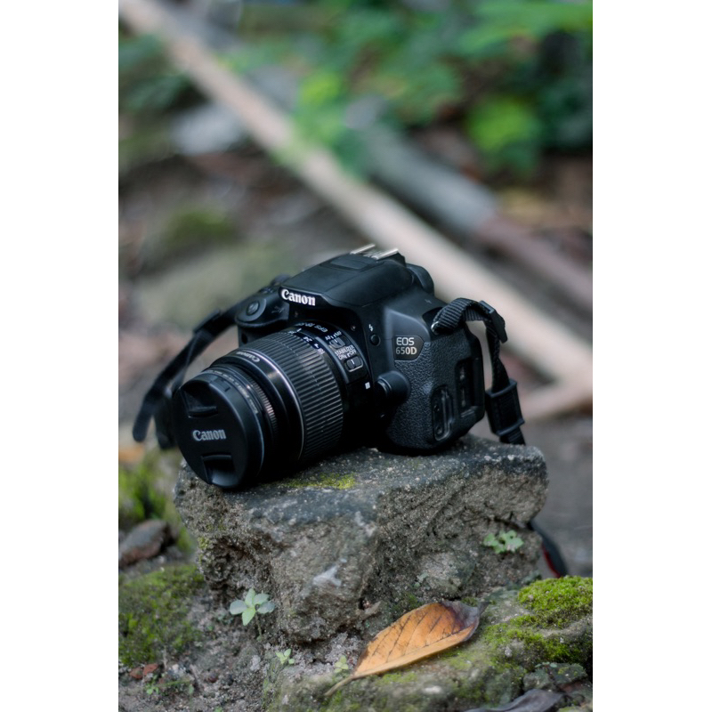 Kamera Canon 650D Bekas