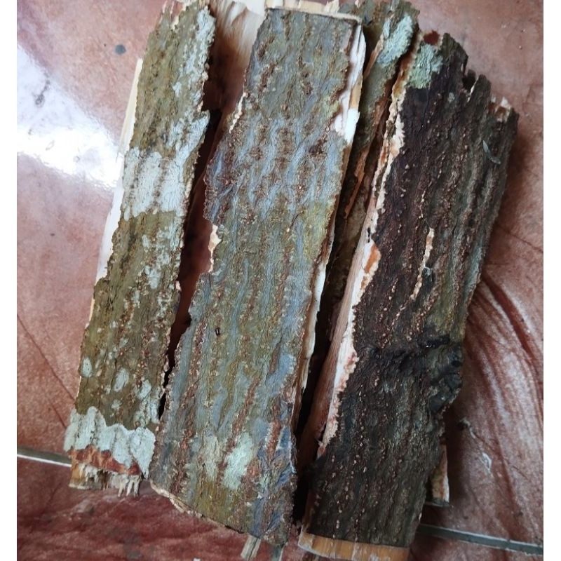 

Kulit pohon kemiri segar kulit kemiri fresh 500 gram-az