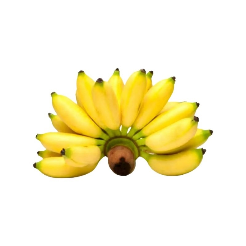

Pisang Muli 1 Sisir