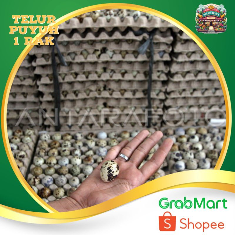 

Telur Puyuh 1Rak ~ Murah Pasar Induk Daring