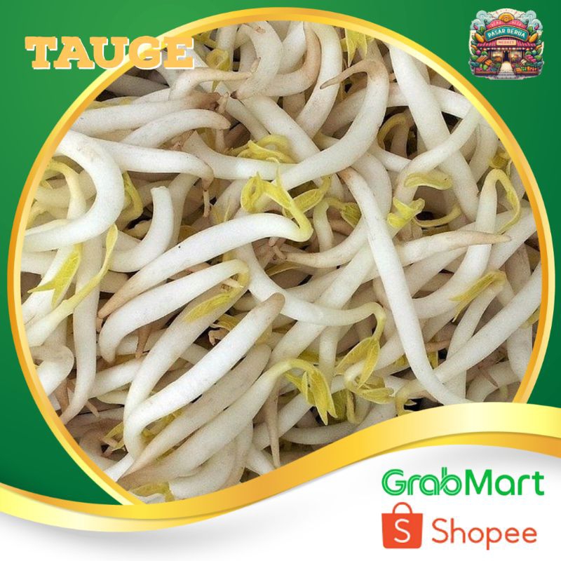 

Tauge / Toge Kecambah ~ Murah Pasar Induk Daring