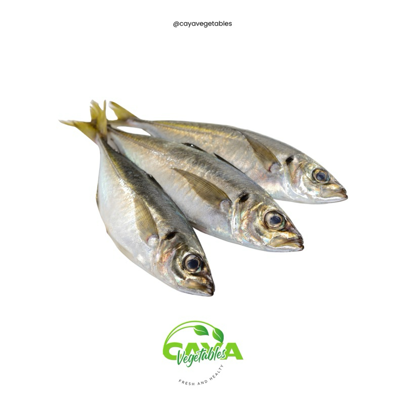 

Ikan Kembung Banjar Frozen 900-1kg | CayaVegetables