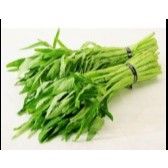 

Kangkung / Spinach Per Pack / Ikat