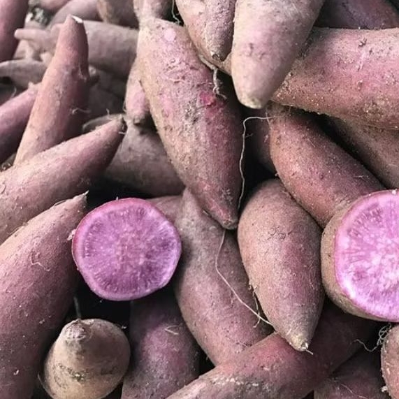 

INSTAN KOTA JAMBI Ubi Ungu 500gr