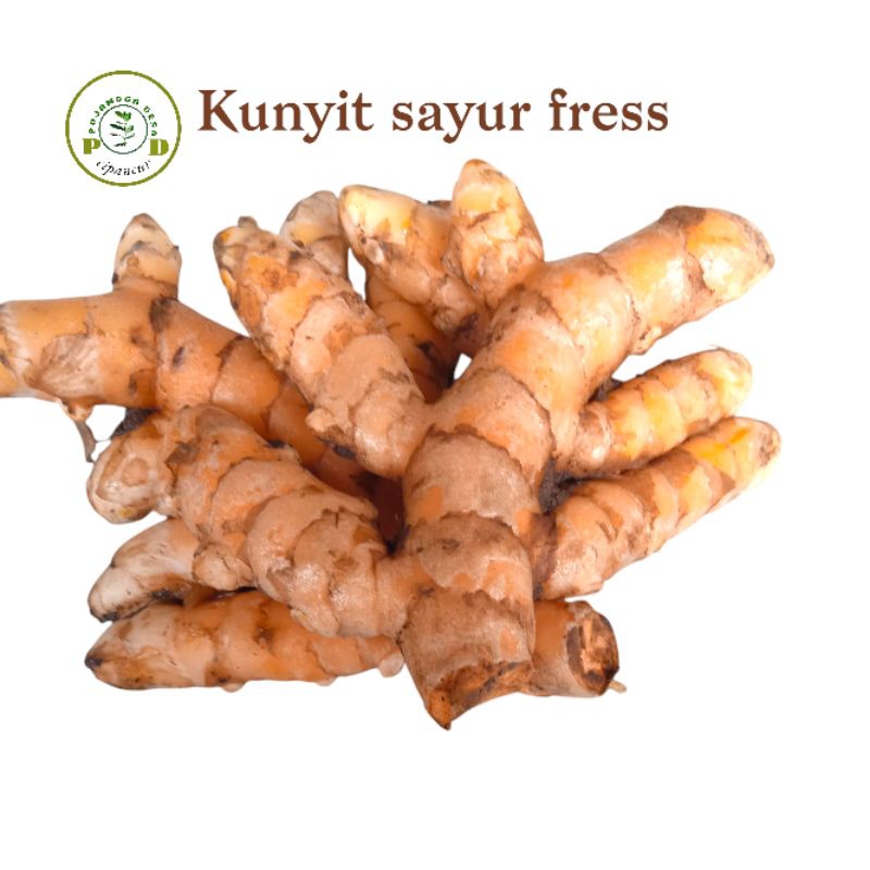 

Promo kunyit sayur fress 500gram (curcuma longa) kualitas gede gede harga termuarah