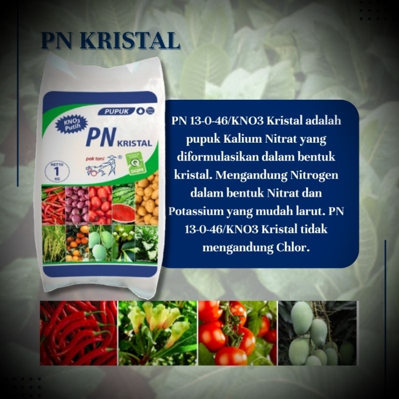 PUPUK KNO3 PUTIH KRISTAL PAK TANI ORIGINAL BERAT 1 KG