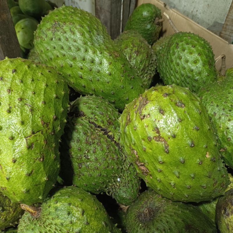 

BUAH SIRSAK MADU SEGAR