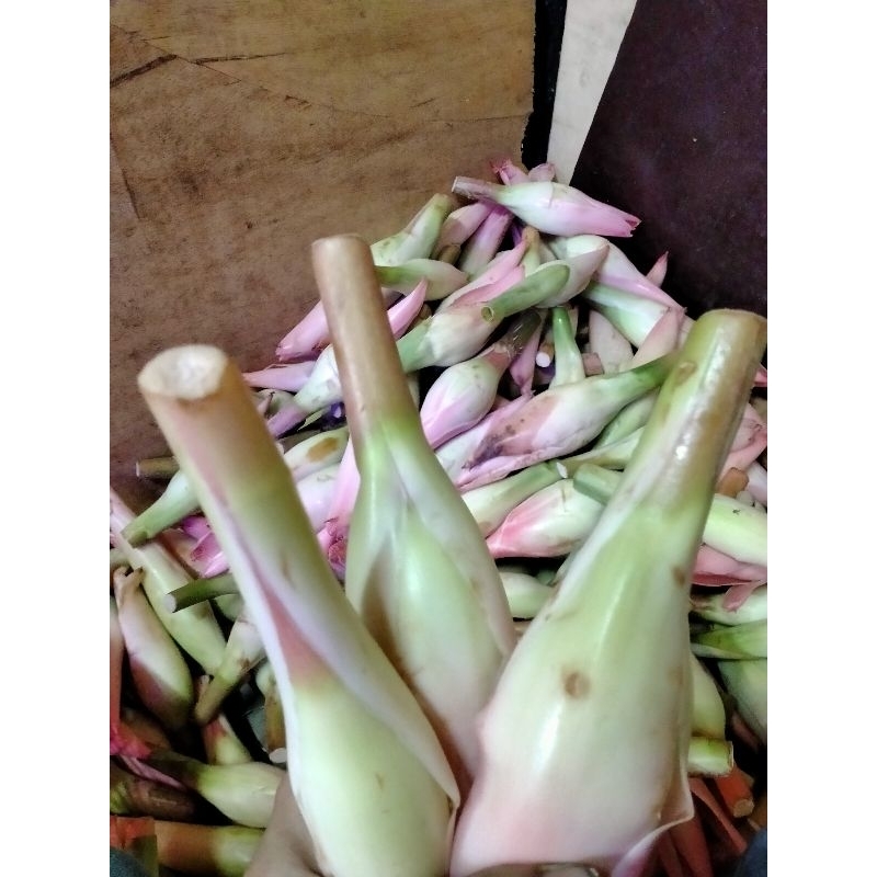 

kecombrang