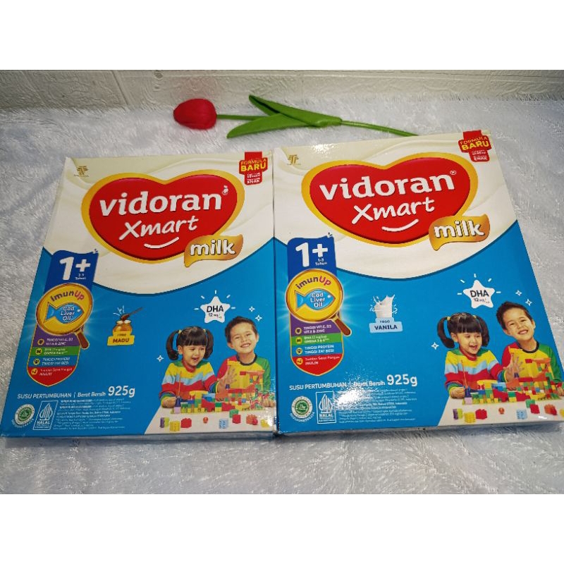 VIDORAN XMART 1+ 925 exp 2026