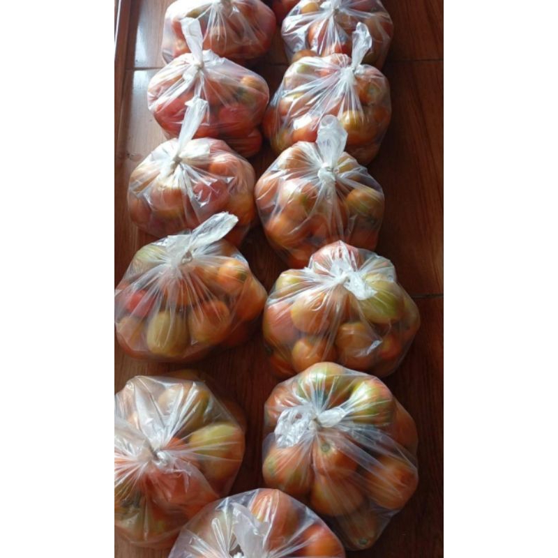 

Tomat sayur