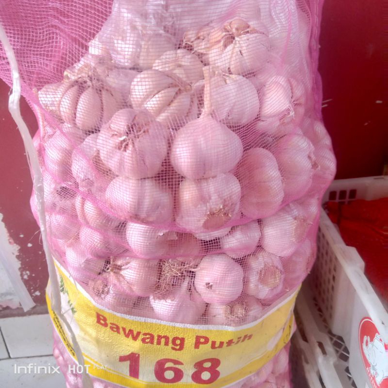 

Bawang putih besar fresh 250gr/1000gr