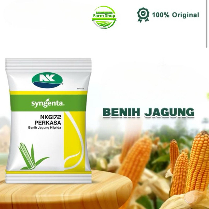 Benih Jagung NK 6172 Perkasa Cap Syngenta
