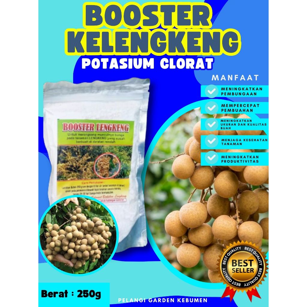 KUALITAS TERBAIK  Booster Kelengkeng Matalada Berbuah, Booster Kelengkeng Merah Cangkok Berbuah, Boo