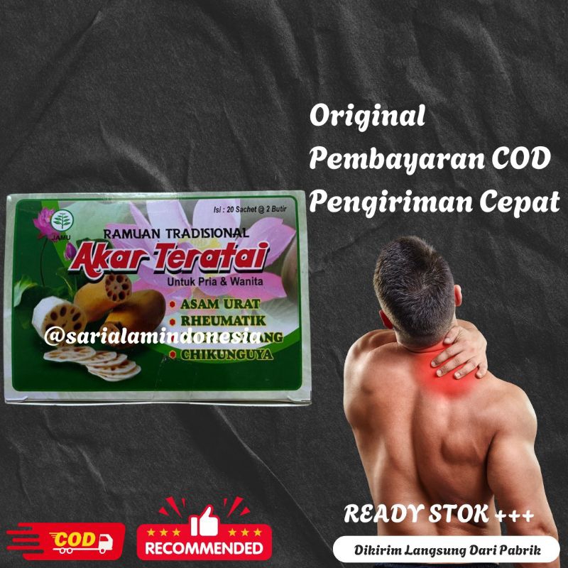 

Akar Teratai Ramuan Asam Urat Pegalinu 100% Asli