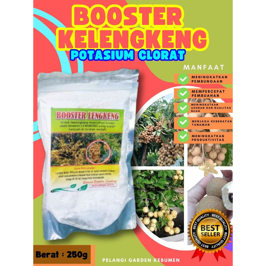 PALING DICARI  Boster Kelengkeng Cangkokan, Boster Kelengkeng Cristal