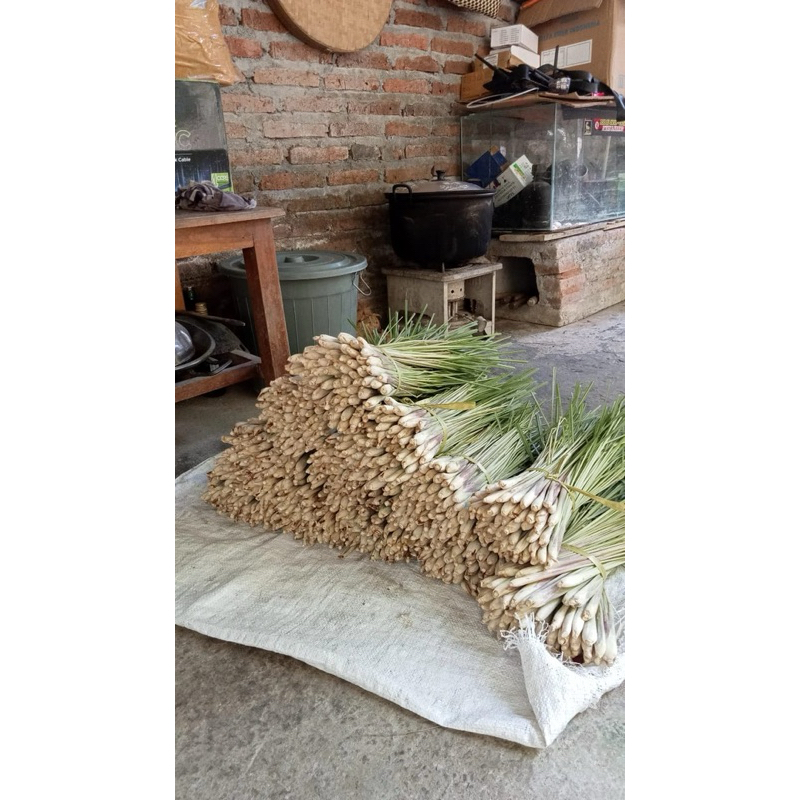 

Serai atau Sereh Segar 1kg