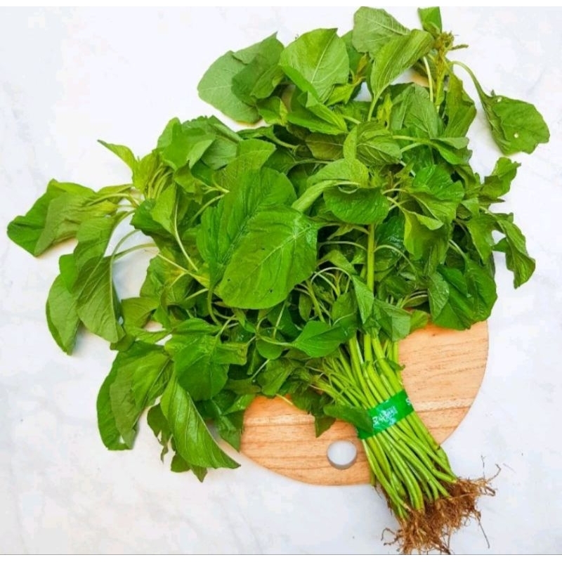 

Bayam segar 1 ikat kecil..