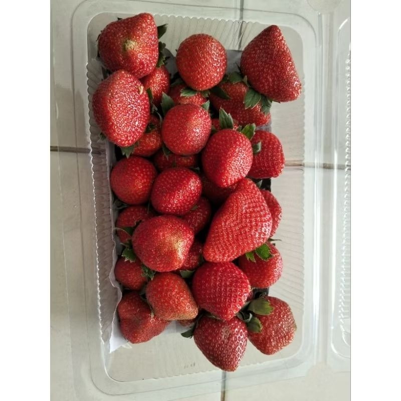 

Strawberry Jumbo Lokal | 500gr