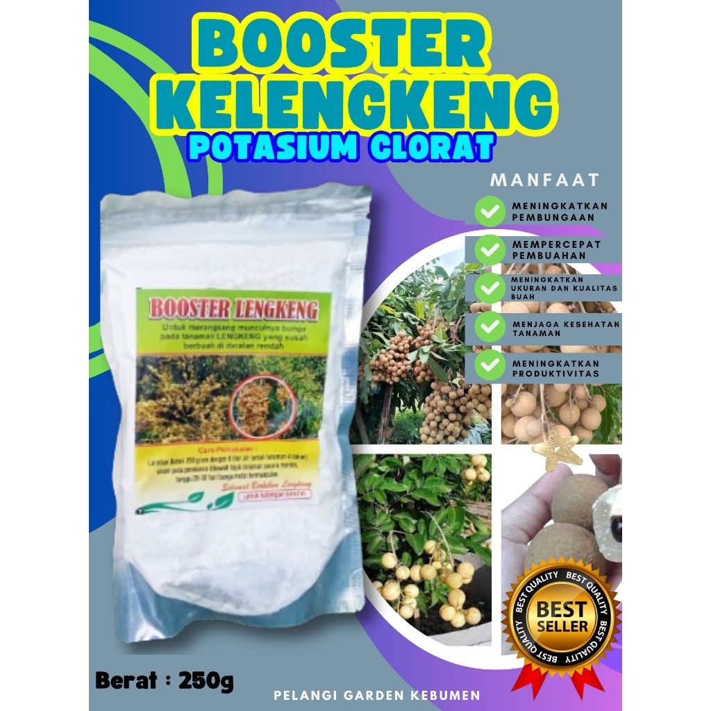 UNGGULAN  Booster Kelengkeng Stek, Booster Kelengkeng Terbaik