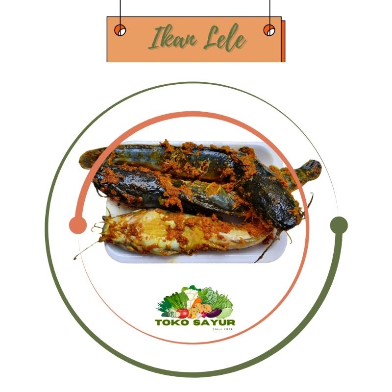 

Ikan Lele Marinasi Bumbu Kuning siap goreng 250 gr