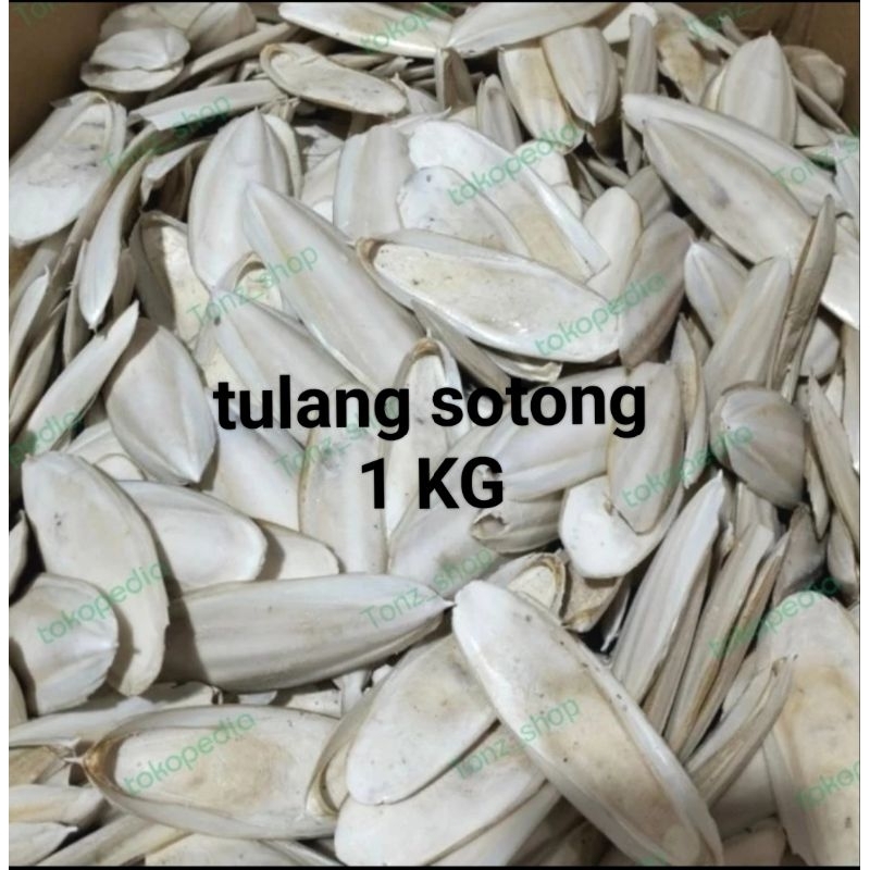 TULANG SOTONG JUMBO 1KG  ASINAN KALSIUM UNTUK BURUNG KURA2 HAMSTER DLL
