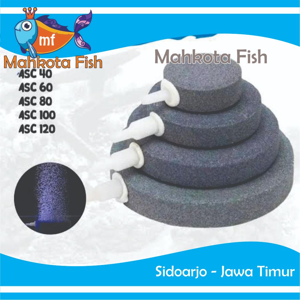 Batu Aerator Bulat Pipih | Batu Gelembung | Batu Aerasi | Airstone | Aerator Pipih Bulat