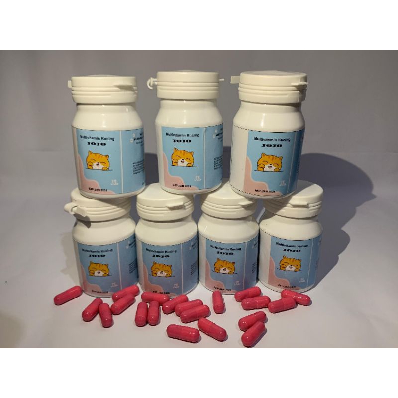 multivitamin kucing