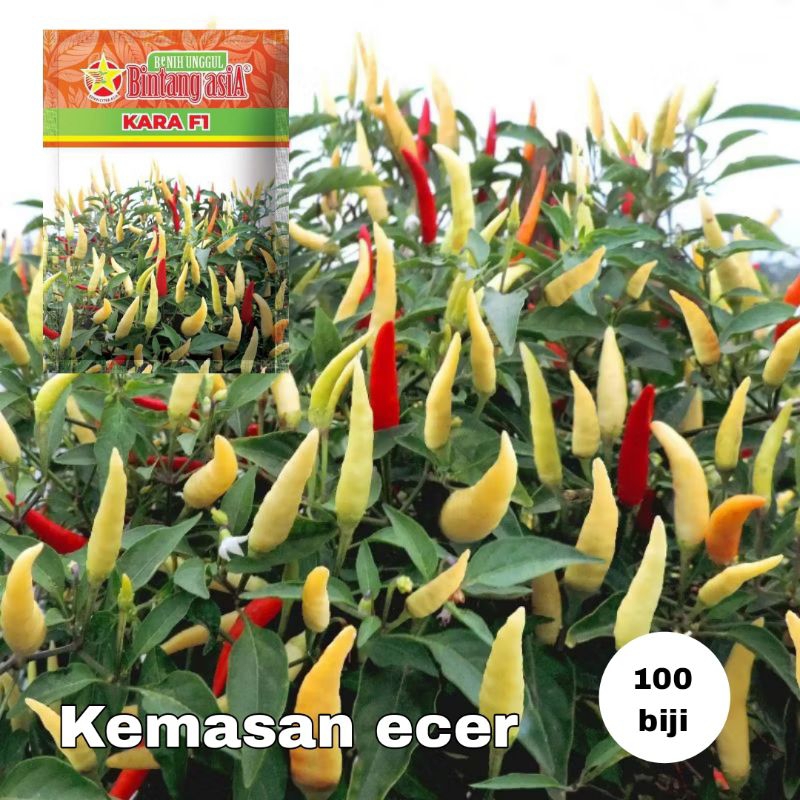 benih cabe kara f1 kemasan ekonomis