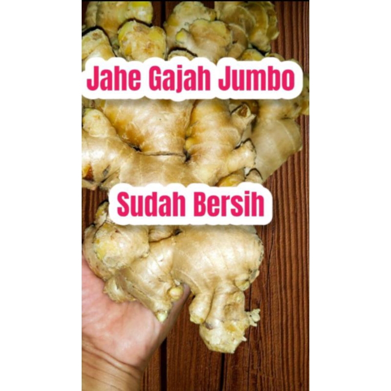

jahe gajah (jahe putih) masih segar presh 1kg (cod)