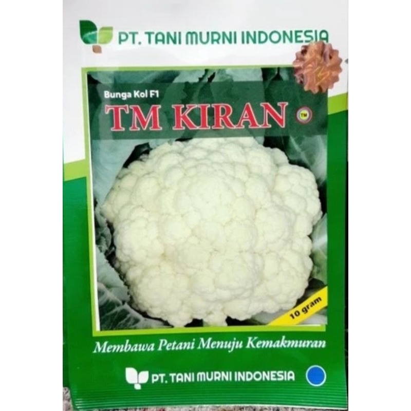 Bibit bungkol TM KIRAN F1