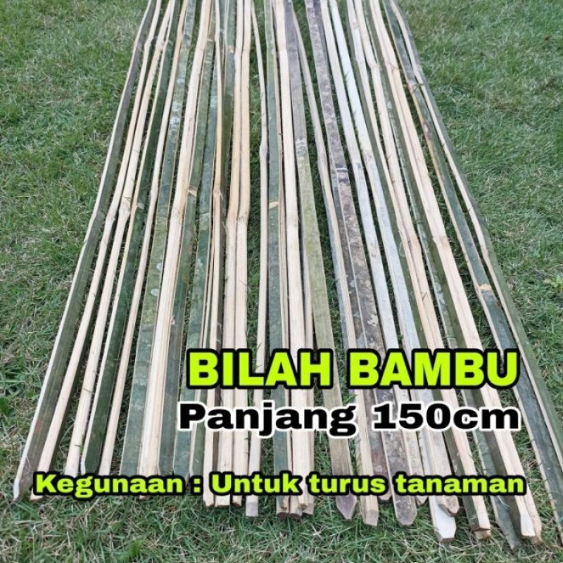 Bambu bilah 150cm/Turus ajir penyangga tanaman/untuk turus tanaman