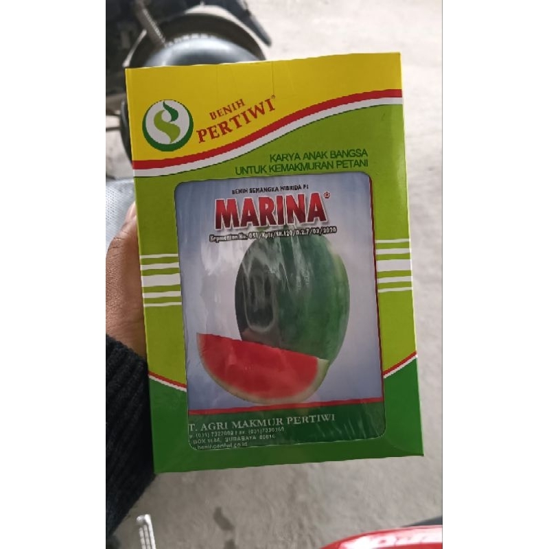 Benih Semangka Marina F1 - 20gr