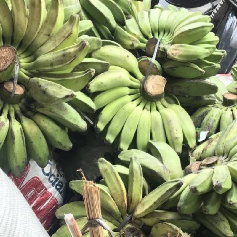 

Pisang kepok mengkel/matang 1 sisir