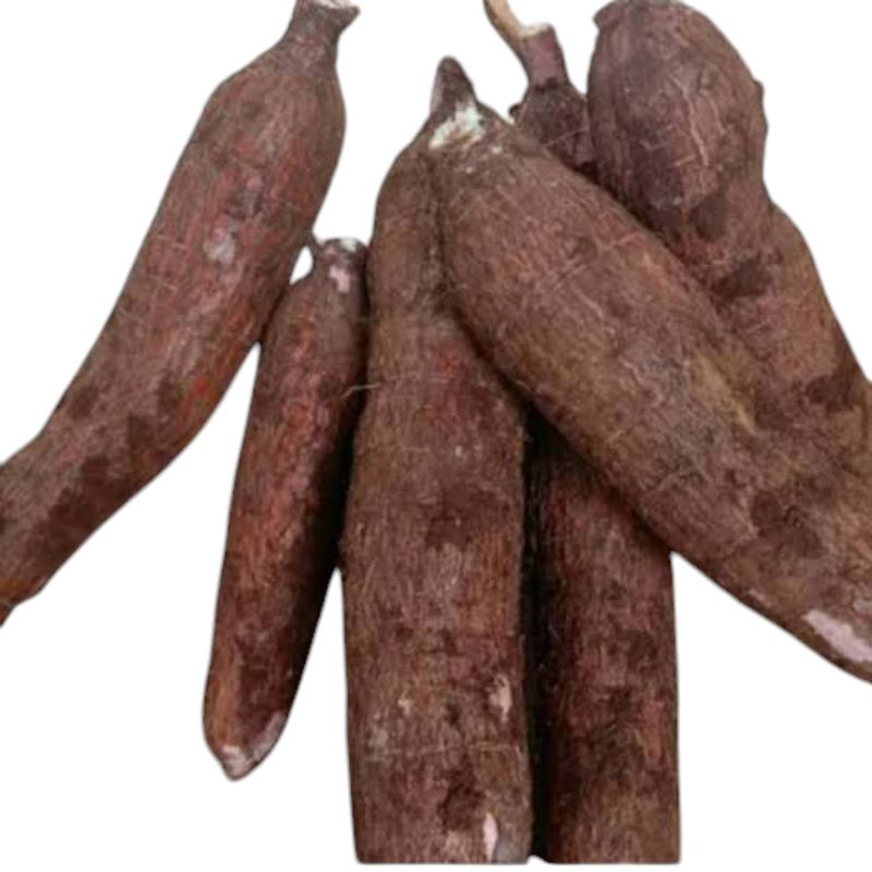 

Singkong segar mentah murah meriah pulen