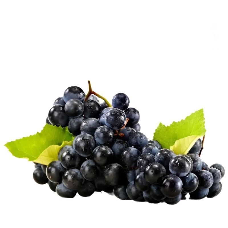 

Buah Anggur Black Autumn Impor
