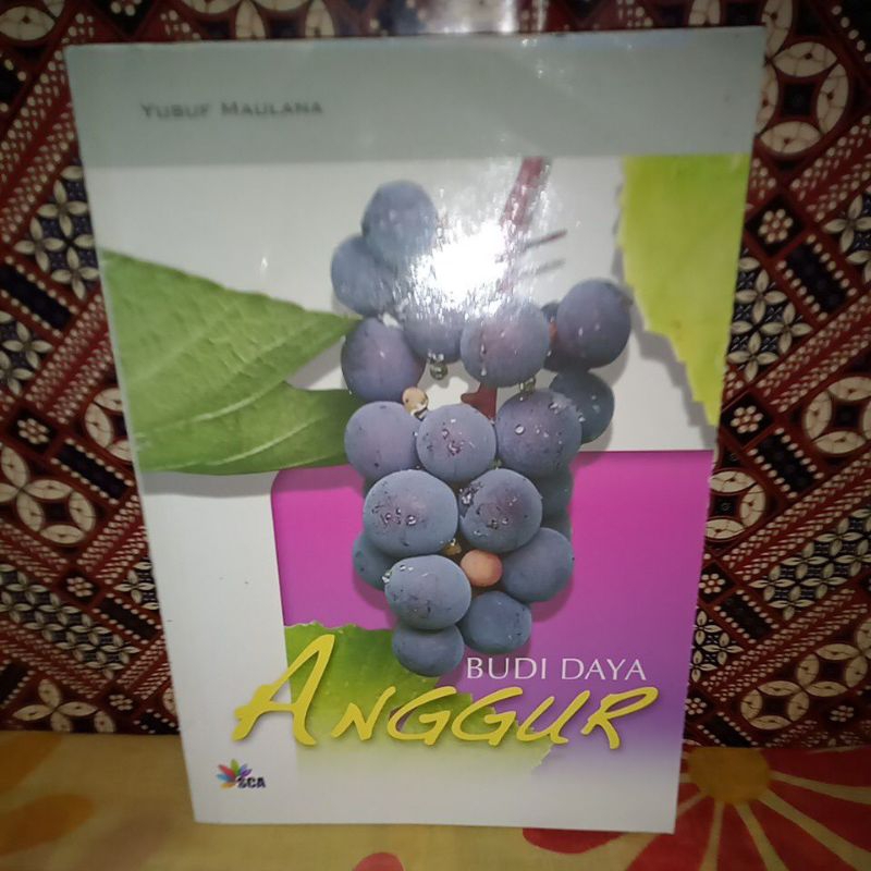 BUDI DAYA ANGGUR - YUSUF MAULANA