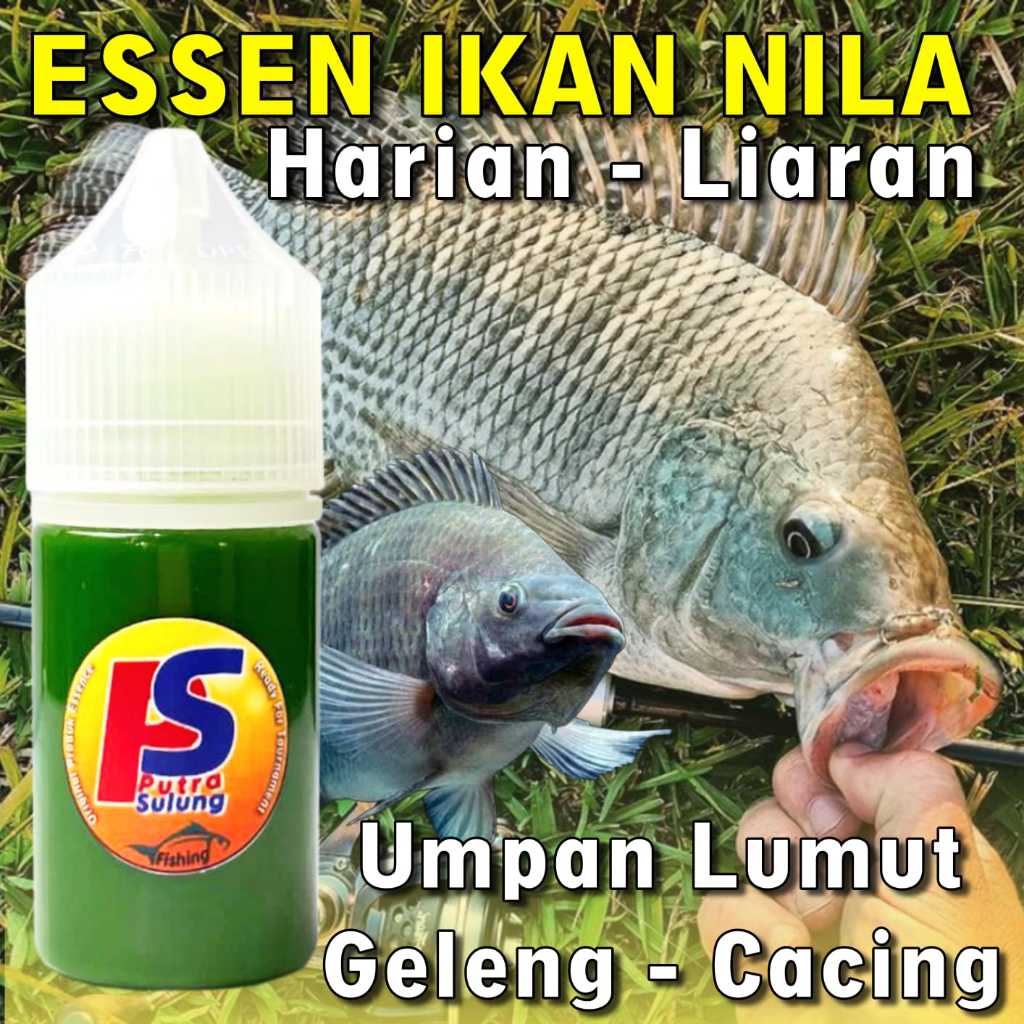 Essen Ikan Nila Liar Media Lumut Paling Gacor, Essen Ikan Nila Harian Liaran Putra Sulung Asli Palin