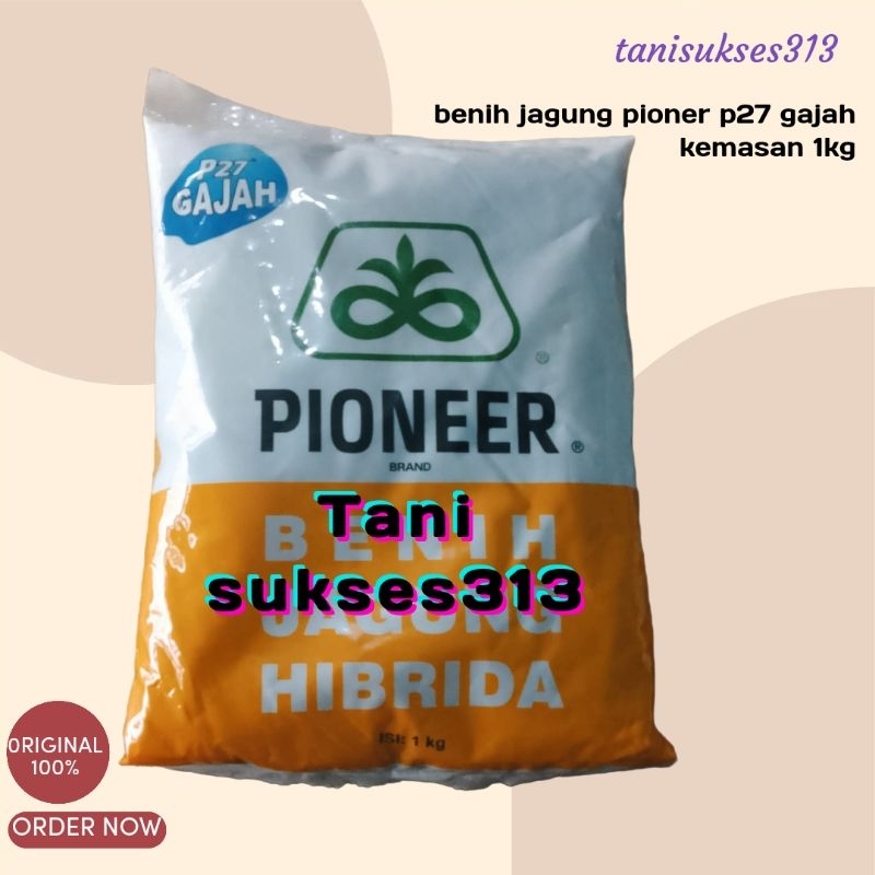 Benih jagung P27 gajah pioner 27 gajah kemasan 1kg p27 gajah