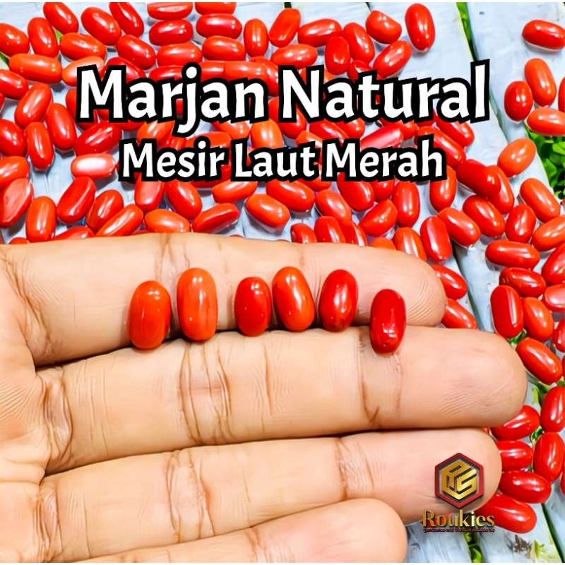[HANYA BATU] Natural Batu Marjan Original Mesir Laut Merah 100% Natural