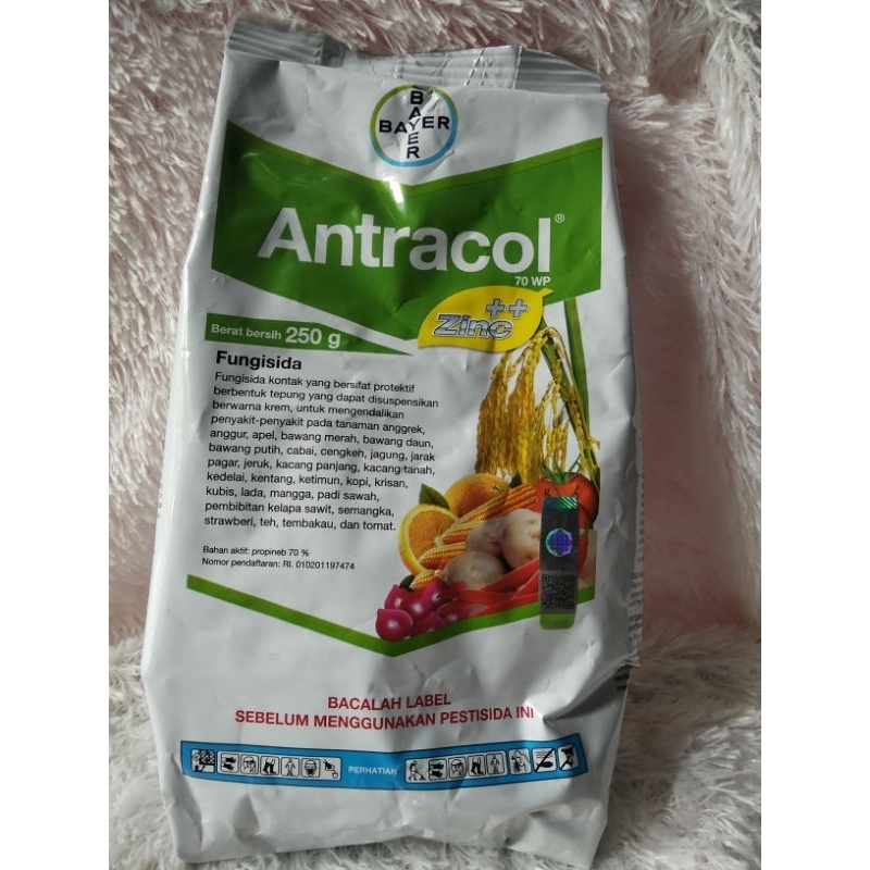 Antracol 70 WP 250 gram
