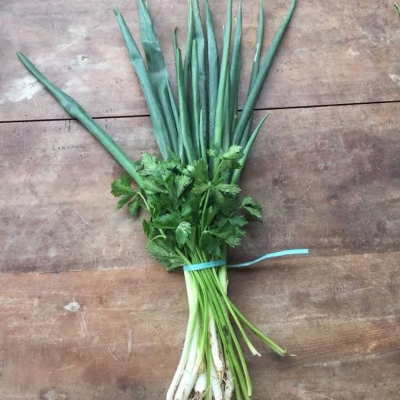 

daun bawang seledri